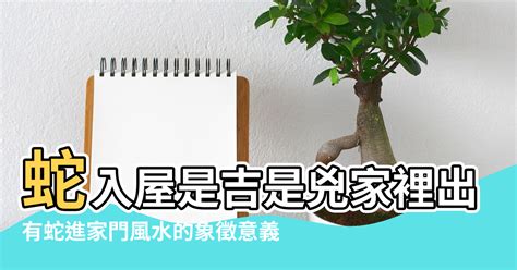 截圖對方會知道嗎 有蛇入屋 風水